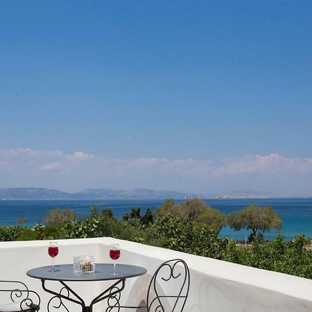 Aneli Luxury Villas-Villa Aegina Luaran gambar